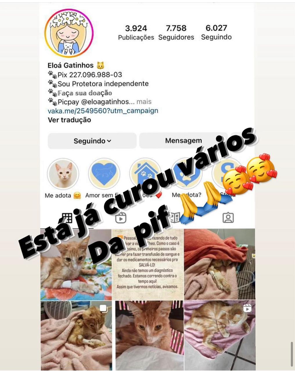 WhatsApp Image 2024-04-17 at 16.08.13