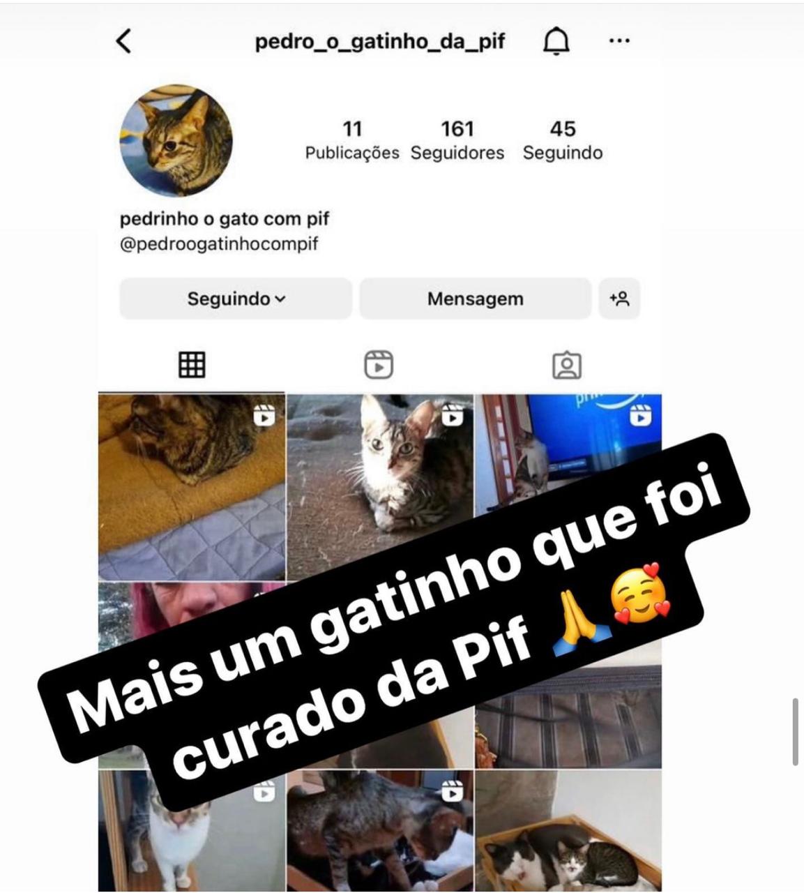 WhatsApp Image 2024-04-17 at 16.08.15 (1)