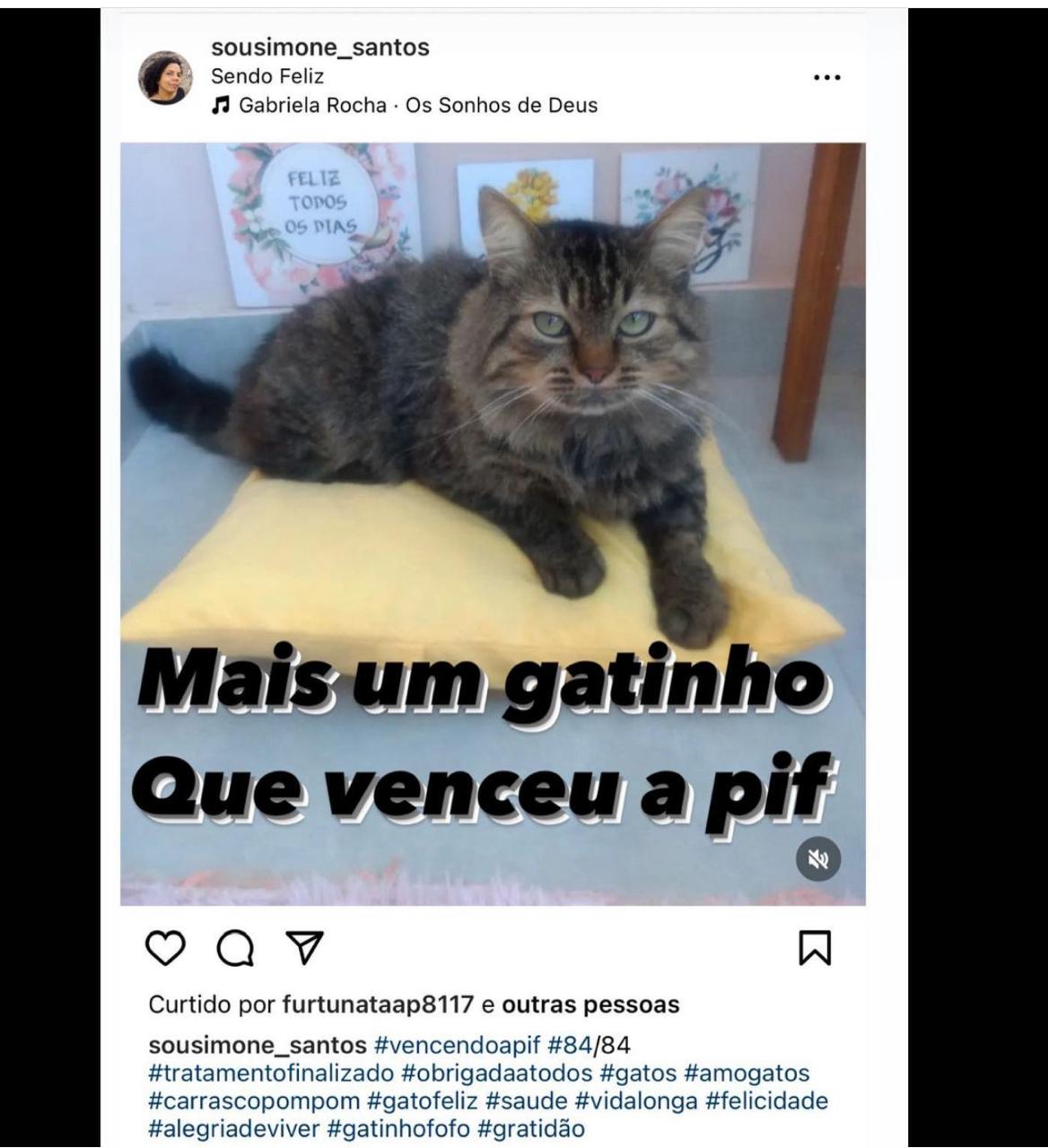 WhatsApp Image 2024-04-17 at 16.08.15