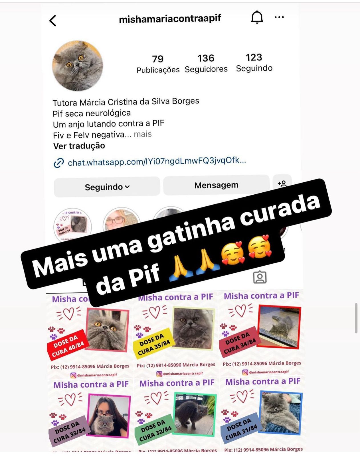 WhatsApp Image 2024-04-17 at 16.08.16