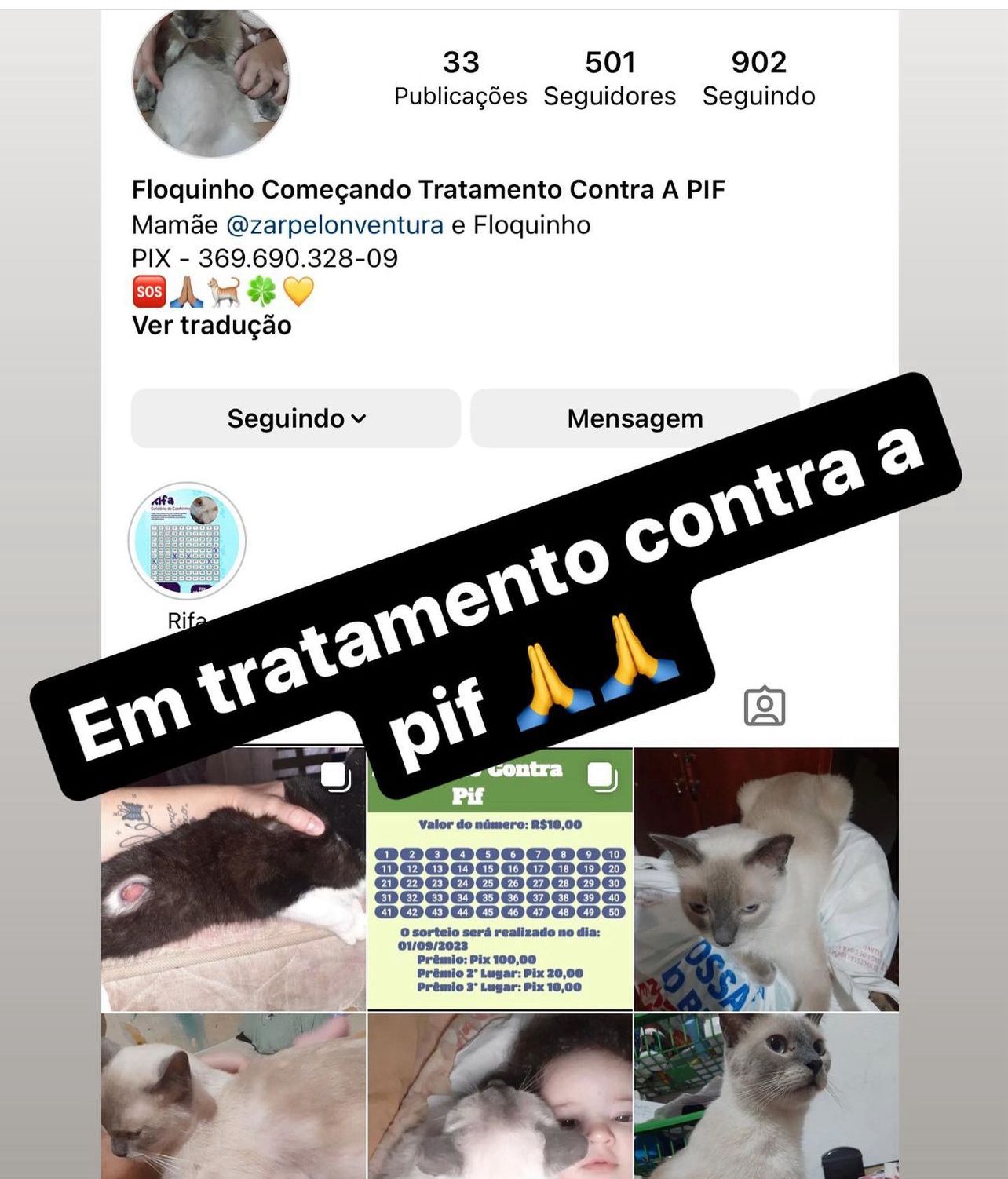 WhatsApp Image 2024-04-17 at 16.08.17 (1)