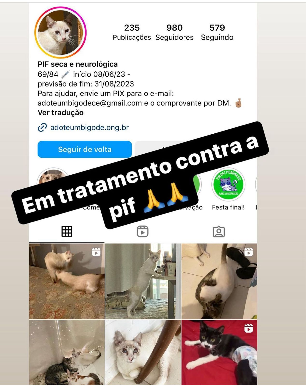 WhatsApp Image 2024-04-17 at 16.08.17