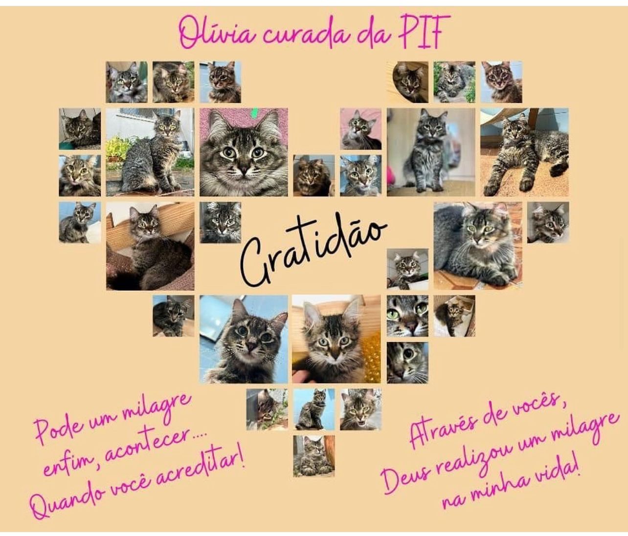 WhatsApp Image 2024-04-17 at 16.08.18 (1)