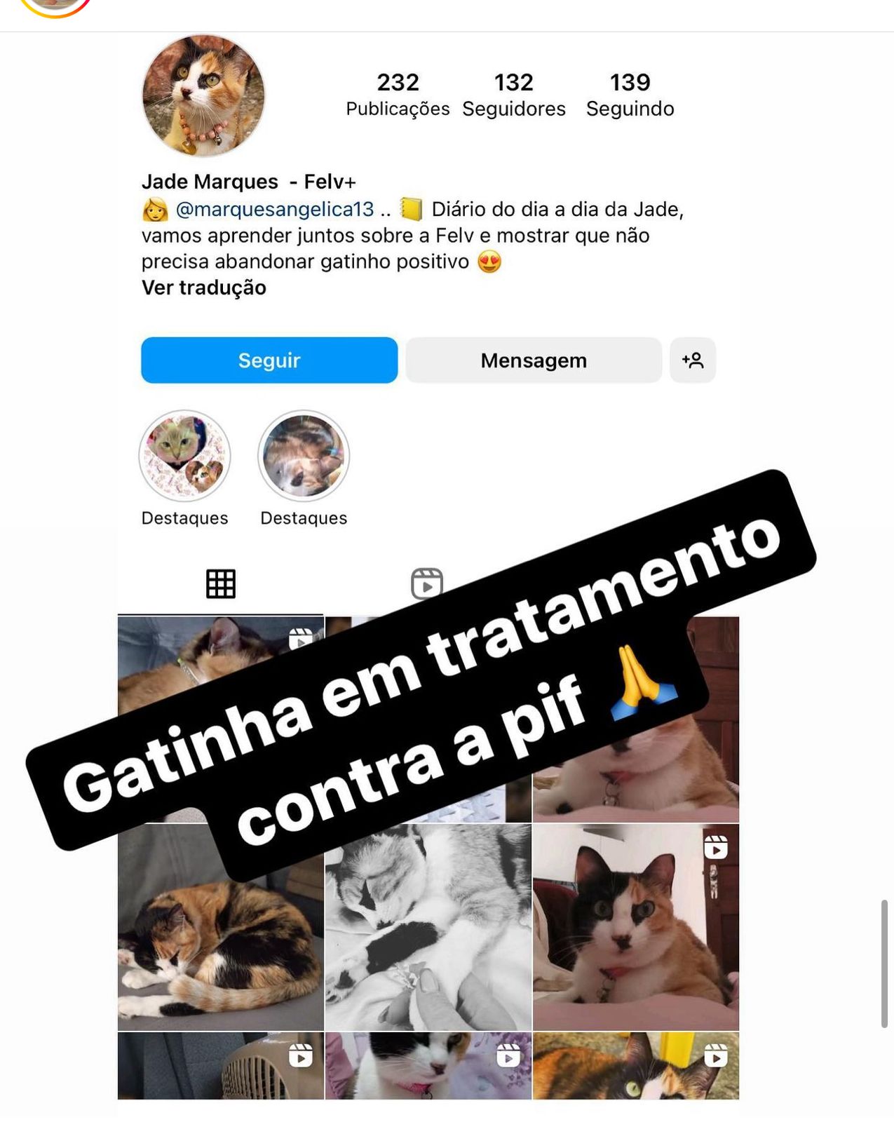 WhatsApp Image 2024-04-17 at 16.08.18