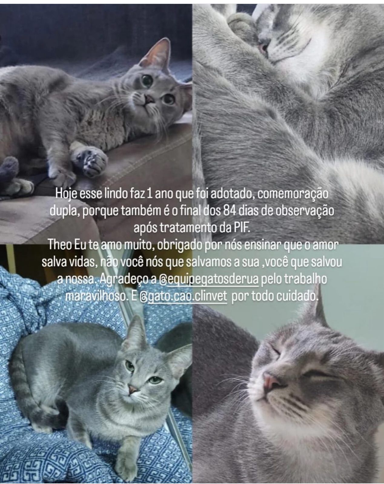 WhatsApp Image 2024-04-17 at 16.08.19 (1)