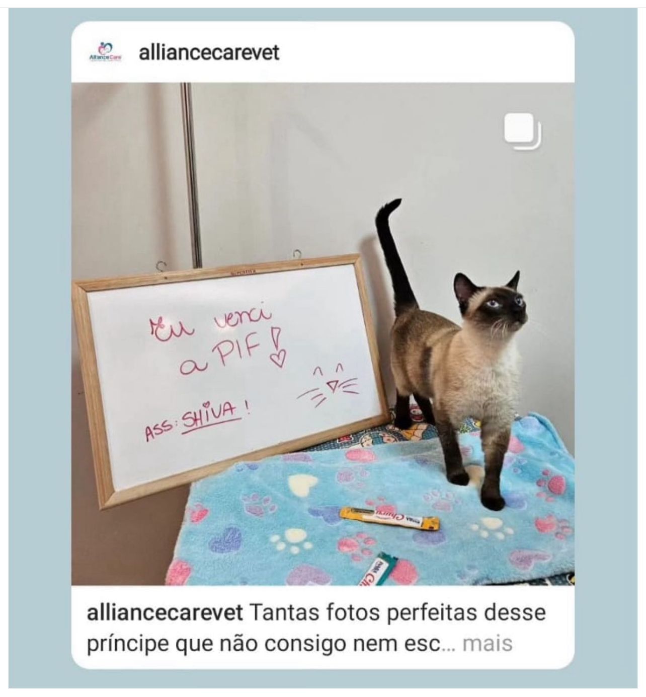 WhatsApp Image 2024-04-17 at 16.08.19 (2)