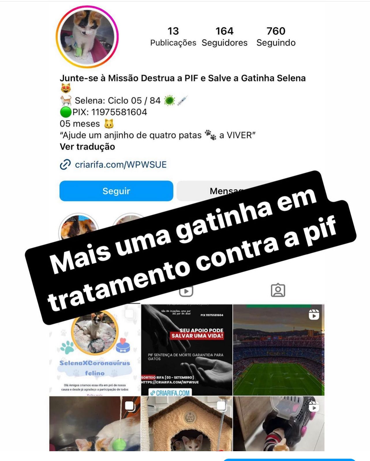 WhatsApp Image 2024-04-17 at 16.08.19